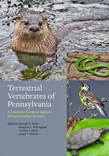 Cover image for Terrestrial Vertebrates of Pennsylvania: A Complete Guide to Species of Conservation Concern