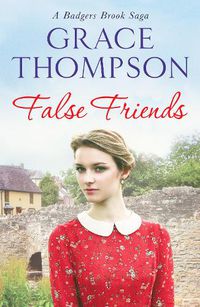 Cover image for False Friends