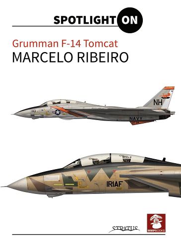 Cover image for Grumman F-14 Tomcat