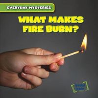 Cover image for What Makes Fire Burn?