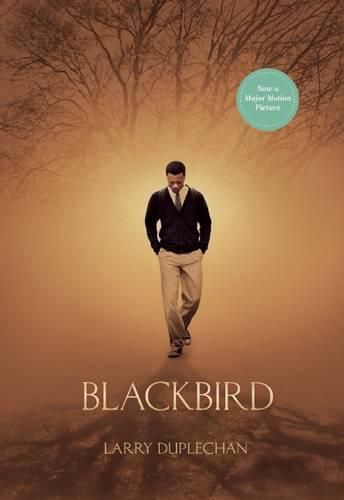 Cover image for Blackbird (Movie Tie-In Edition)