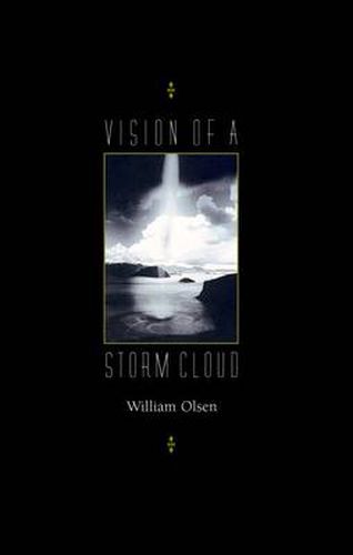 Cover image for Vision of a Storm Cloud