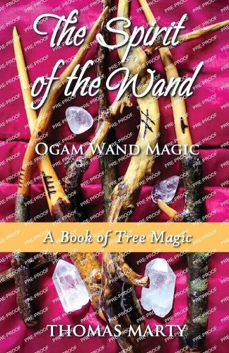 Cover image for The Spirit of the Wand