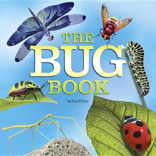 Cover image for The Bug Book