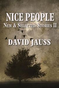 Cover image for Nice People: New & Selected Stories II