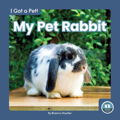 Cover image for I Got a Pet! My Pet Rabbit