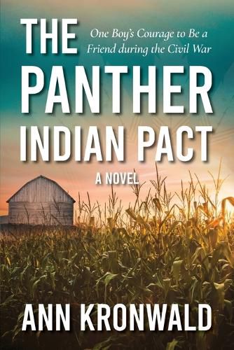 Cover image for The Panther Indian Pact: One Boy's Courage to Be a Friend during the Civil War