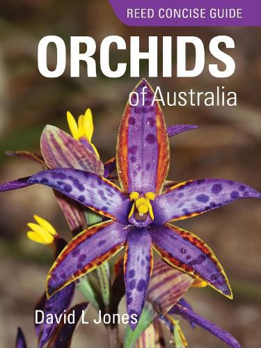 Cover image for Reed Concise Guide: Orchids of Australia