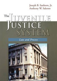 Cover image for The Juvenile Justice System: Law and Process