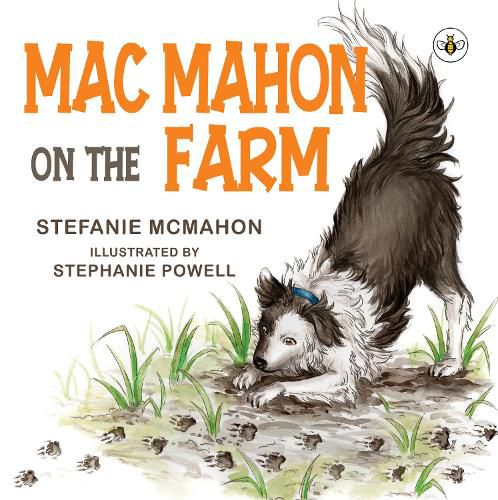 Cover image for Mac Mahon on the Farm