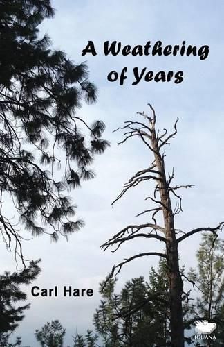 Cover image for A Weathering of Years