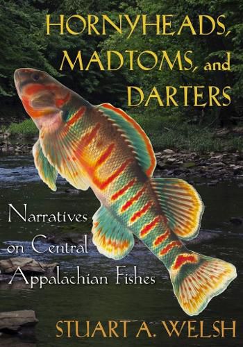 Cover image for Hornyheads, Madtoms, and Darters