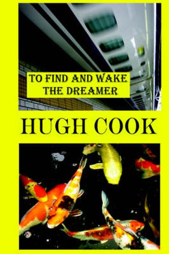 Cover image for To Find and Wake the Dreamer