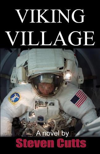 Cover image for Viking Village