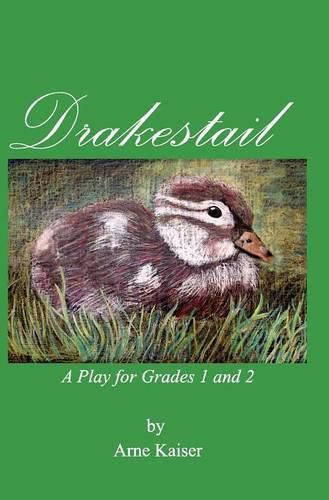 Cover image for Drakestail