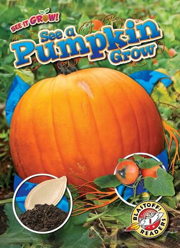 Cover image for See a Pumpkin Grow