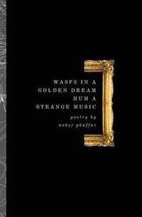 Cover image for Wasps in a Golden Dream Hum a Strange Music