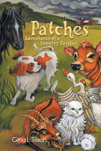 Cover image for Patches