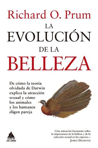 Cover image for Evolucion de la Belleza, La
