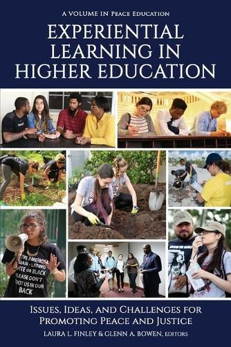 Experiential Learning in Higher Education: Issues, Ideas, and Challenges for Promoting Peace and Justice