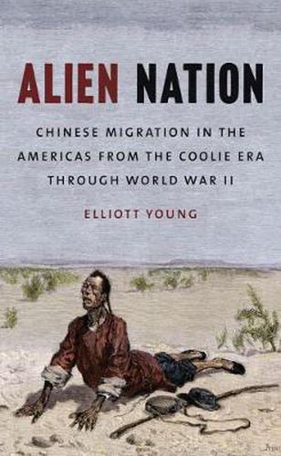 Cover image for Alien Nation: Chinese Migration in the Americas from the Coolie Era through World War II
