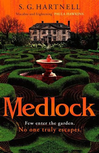 Cover image for Medlock