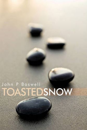 Cover image for Toasted Snow