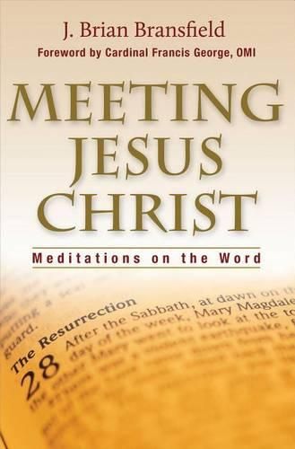 Cover image for Meeting Jesus Christ