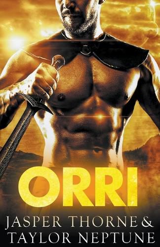 Cover image for Orri