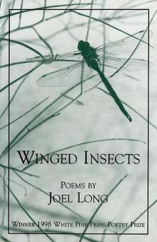 Cover image for Winged Insects