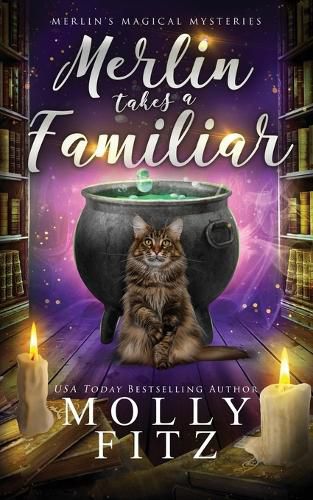 Cover image for Merlin Takes a Familiar