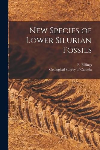 Cover image for New Species of Lower Silurian Fossils [microform]