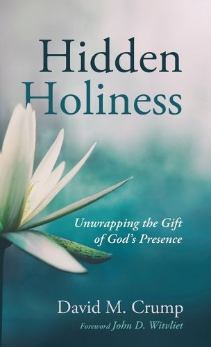 Cover image for Hidden Holiness