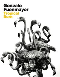 Cover image for Gonzalo Fuenmayor: Tropical Burn