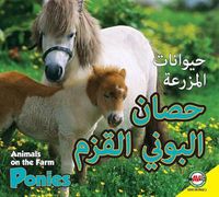 Cover image for Ponies: Arabic-English Bilingual Edition