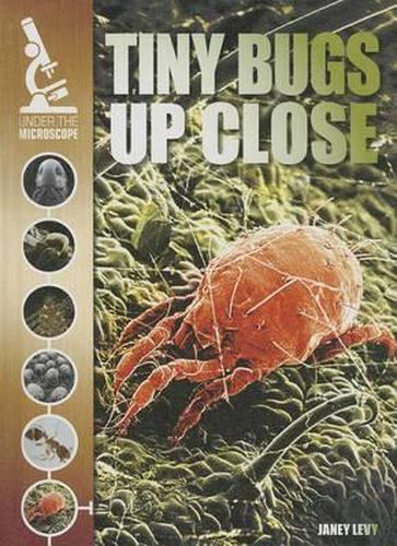 Cover image for Tiny Bugs Up Close