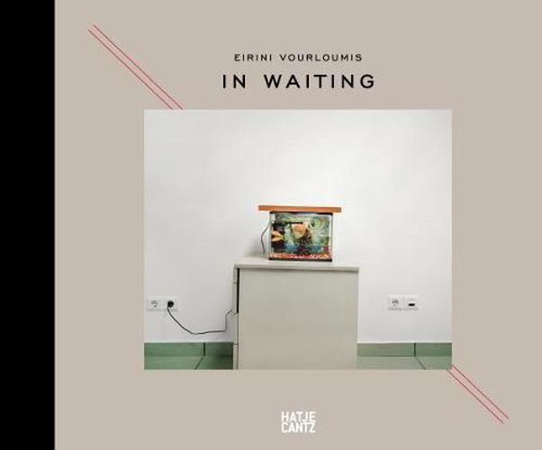 Cover image for Eirini Vourloumis: In Waiting