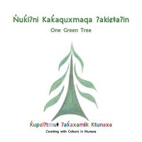 Cover image for Nuki?ni Kakaquxmaqa ?akicta?in: One Green Tree