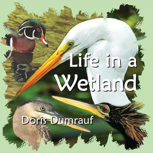 Cover image for Life In A Wetland