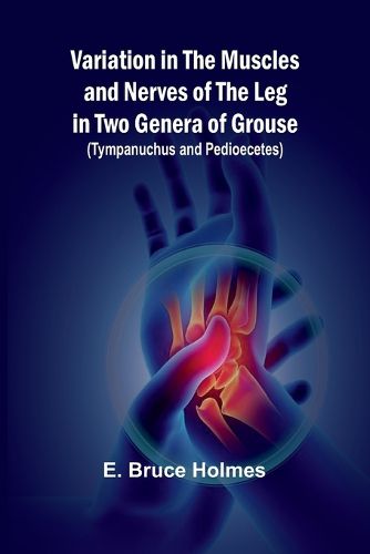 Cover image for Variation in the Muscles and Nerves of the Leg in Two Genera of Grouse (Tympanuchus and Pedioecetes)