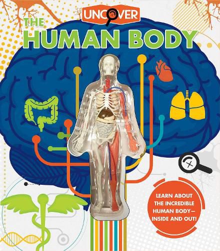 Cover image for Uncover the Human Body