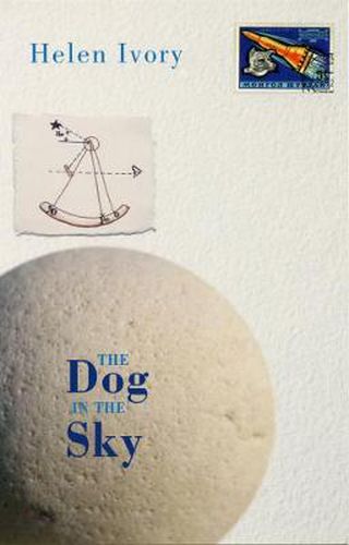 Cover image for The Dog in the Sky