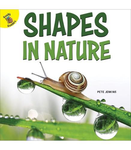 Cover image for Shapes in Nature