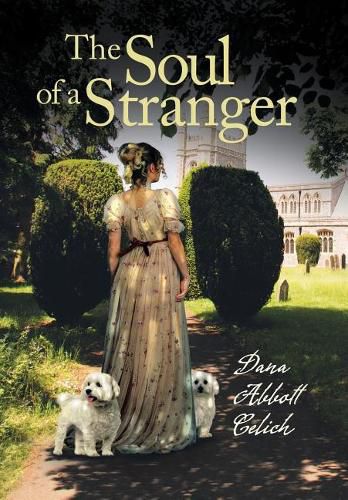 Cover image for The Soul of a Stranger