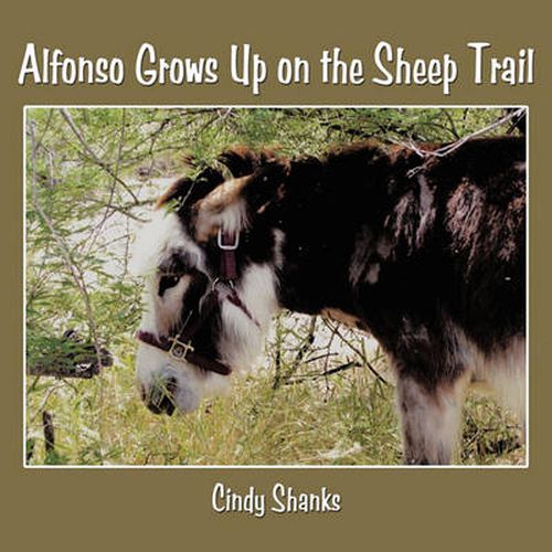 Alfonso Grows Up on the Sheep Trail
