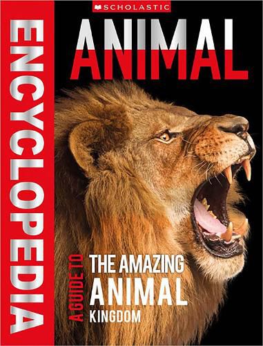 Cover image for A Guide to the Amazing Animal Kingdom (Animal Encyclopedia: Miles Kelly)