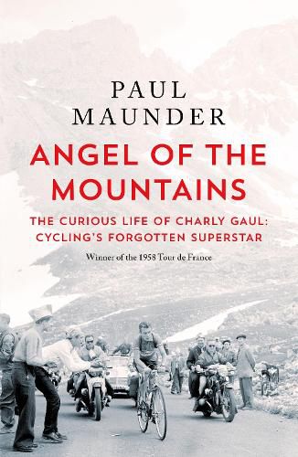 Cover image for Angel of the Mountains