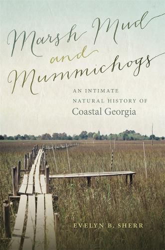 Cover image for Marsh Mud and Mummichogs: An Intimate Natural History of Coastal Georgia