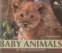 Cover image for Baby Animals of the Grasslands