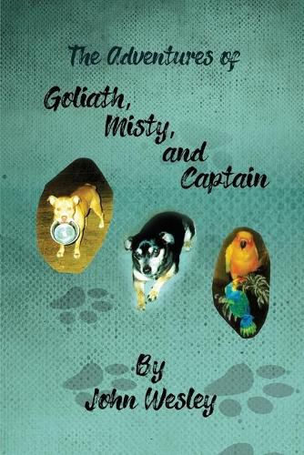 Cover image for The Adventures of Goliath, Misty, and Captain